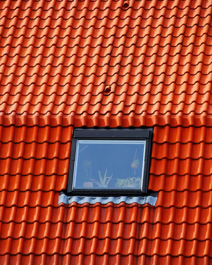 image6 2